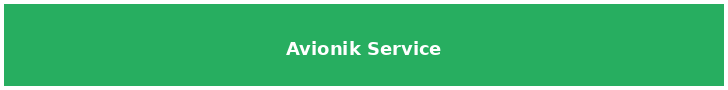 Avionik - Avionik Service (listing_content)