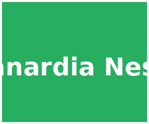 Avionik - Kanardia Nesis (listing_sidebar)